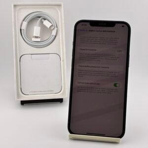 iPhone 12 Pro Max 256GB Usato