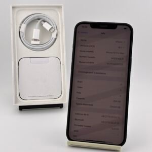 iPhone 12 Pro Max 256GB Usato