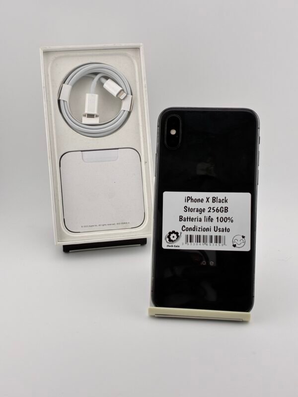 iPhone X 256GB Usato