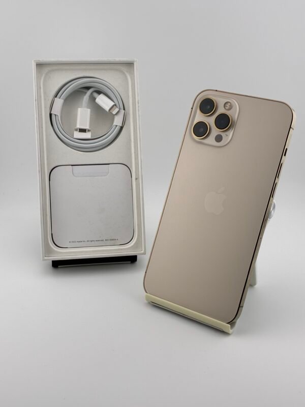 iPhone 12 Pro Max 256GB Usato